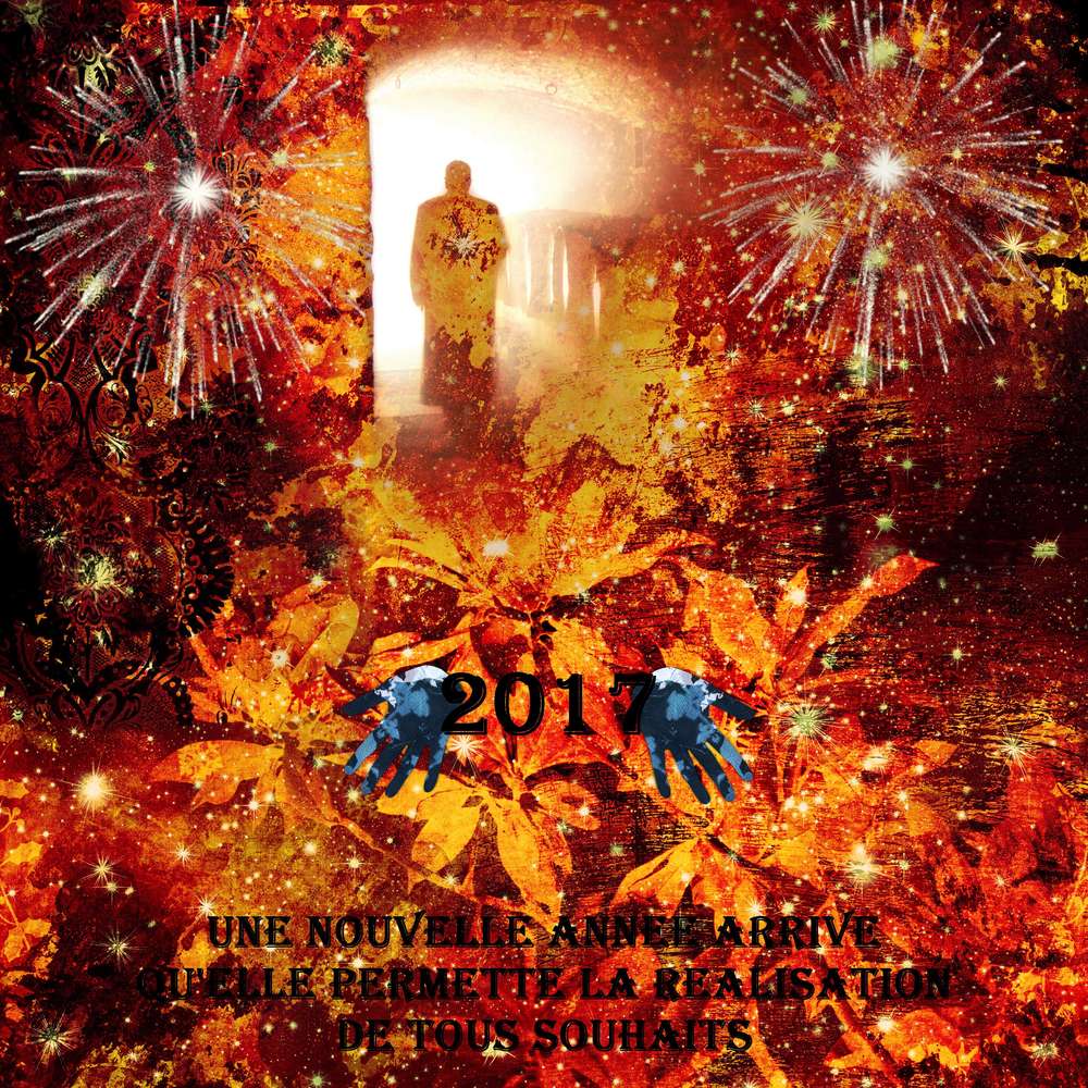 Bonne année 2017 en couleur