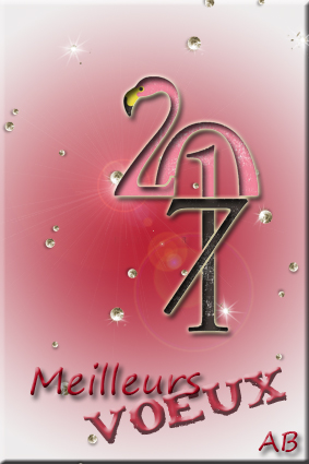 Bonne Année 2017 !