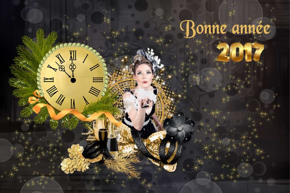 Bonne année  2017