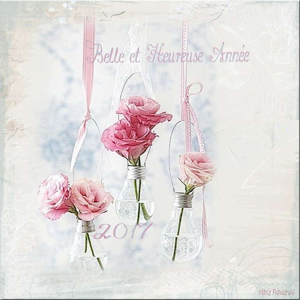 BONNE ANNEE 2017