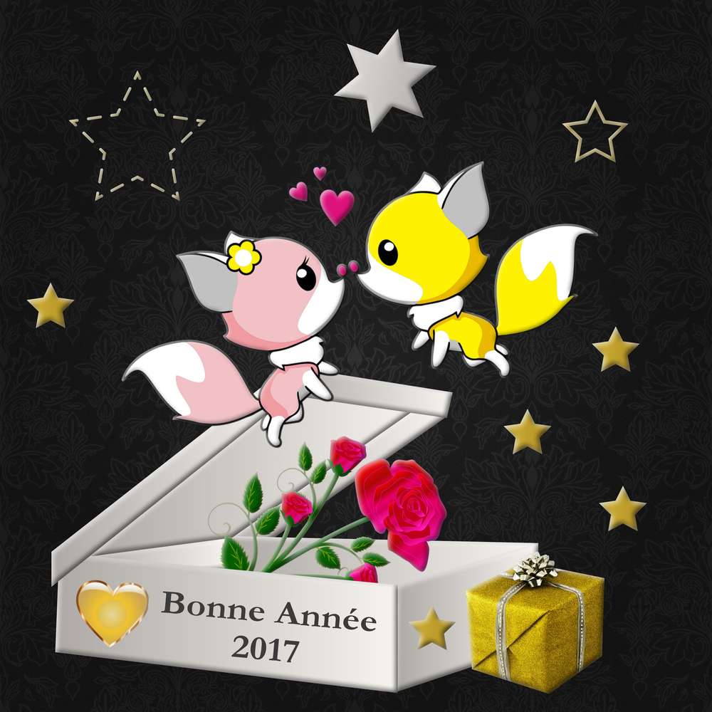 BONNE ANNEE 2017