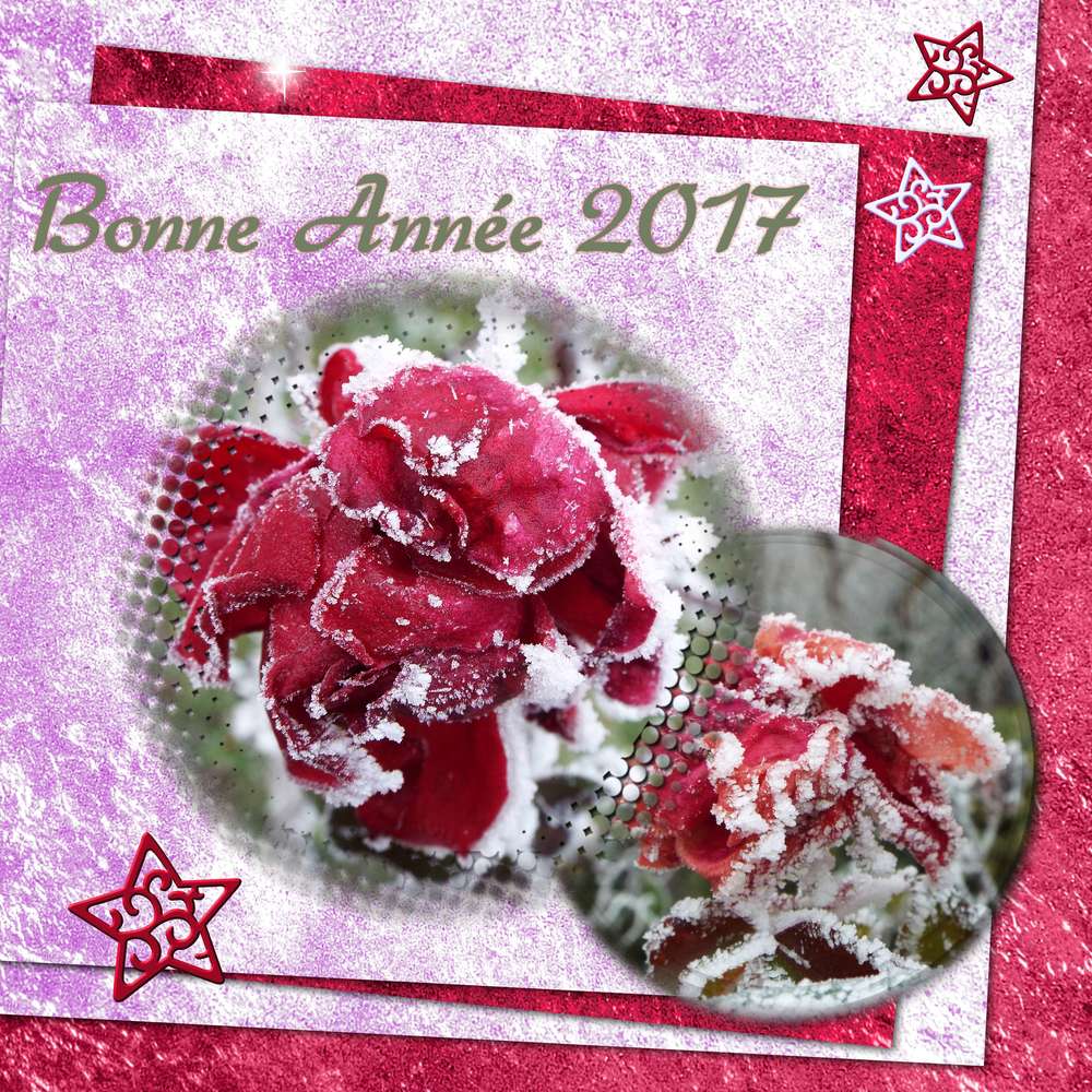 Bonne Année 2017