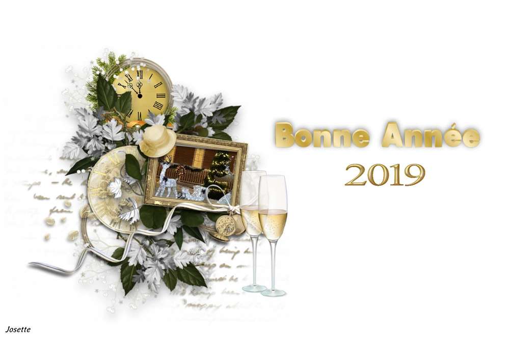 Bonne année  2019