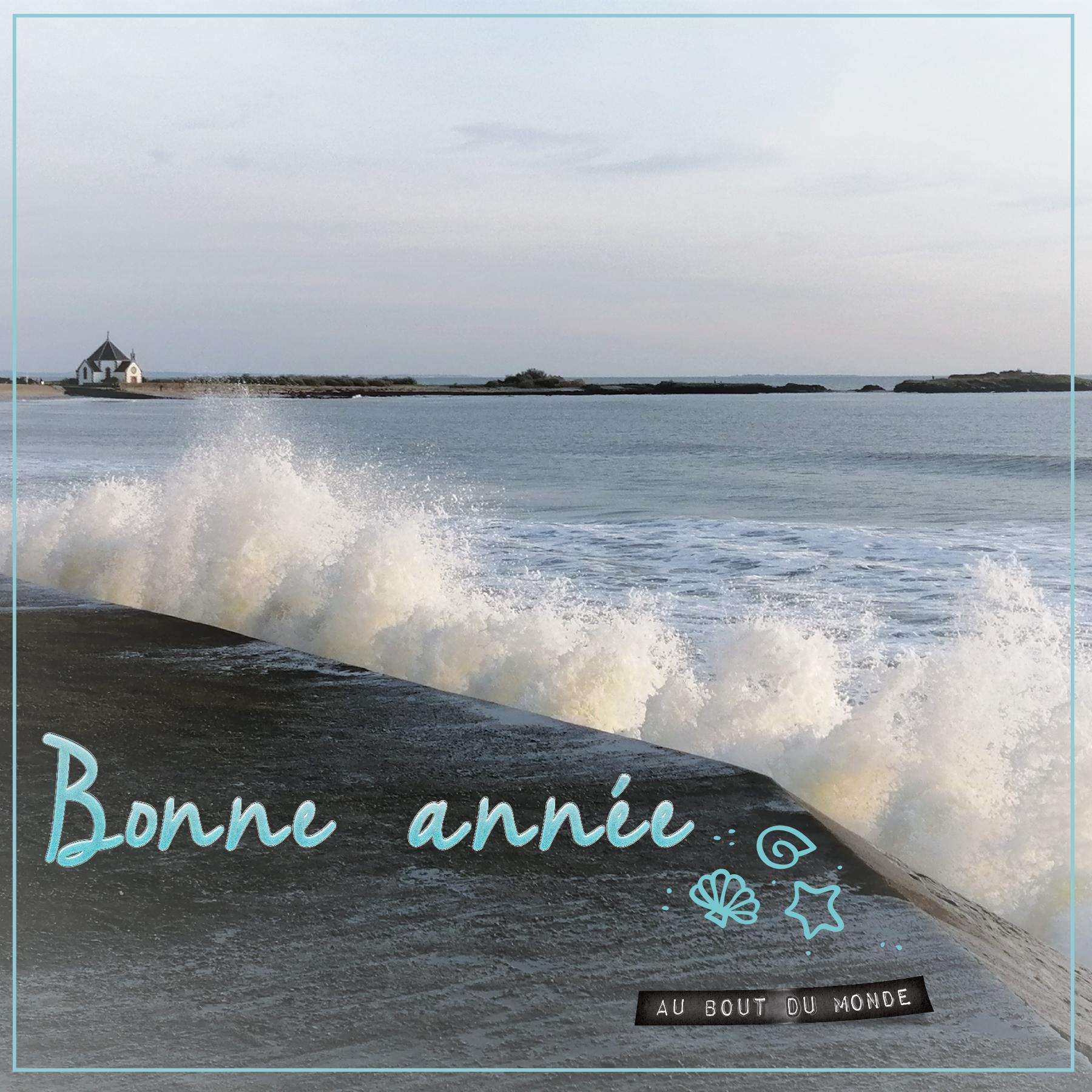 bonne année 2023.jpg