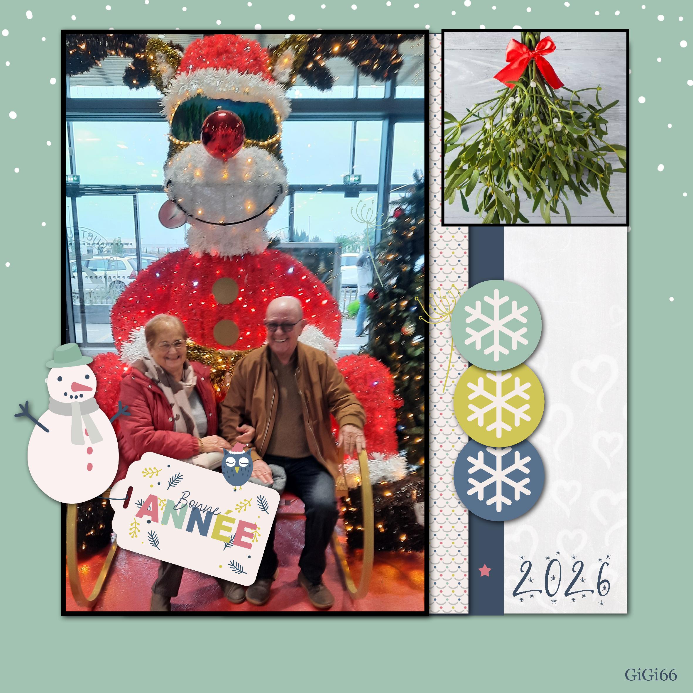 bonne-annee-2026 (page 1).jpg