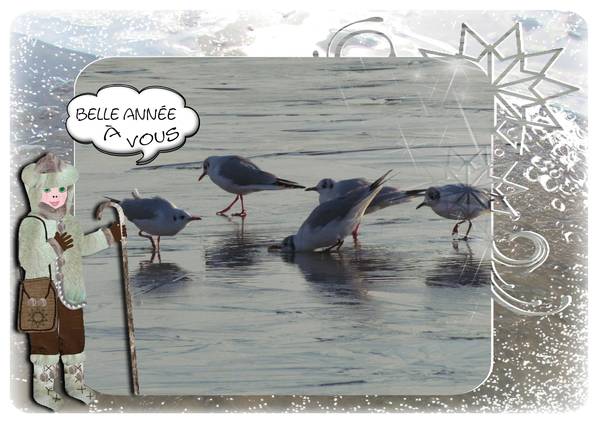 bonne année à tous et toutes