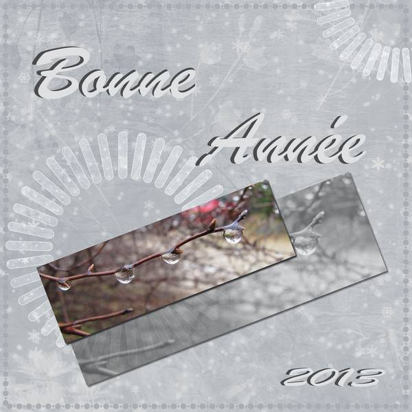 Bonne année à tous