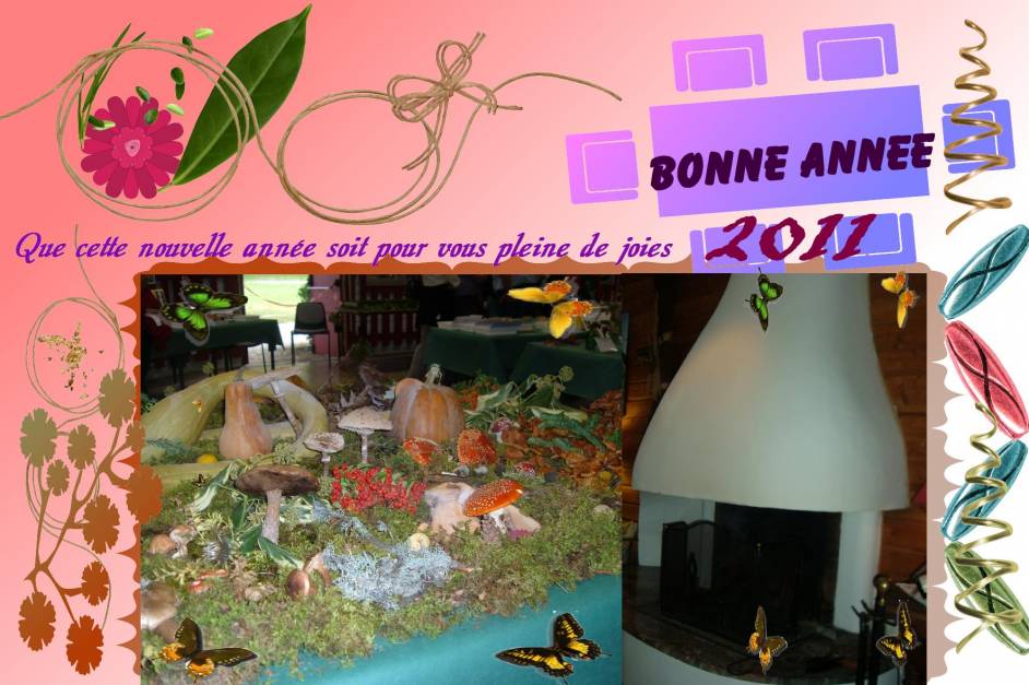 BONNE ANNEE (transformée)