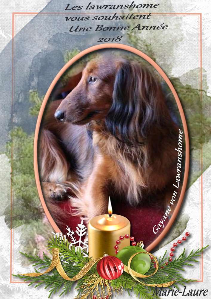 Bonne et heureuse année 2018