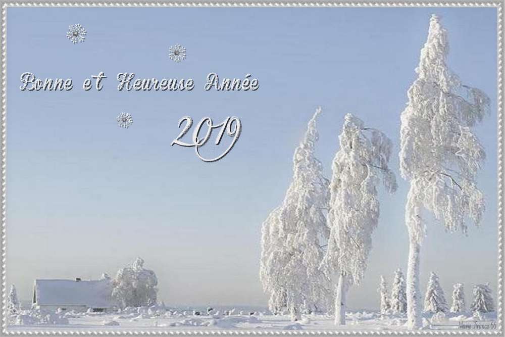 Bonne et heureuse année 2019