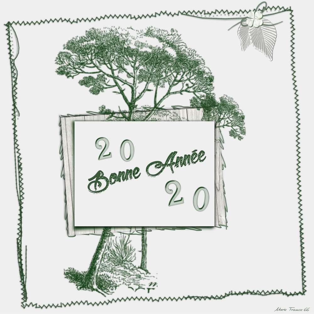 BONNE ET HEUREUSE ANNEE 2020