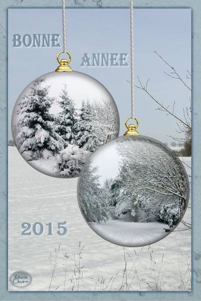 Bonne et Heureuse Année à tous