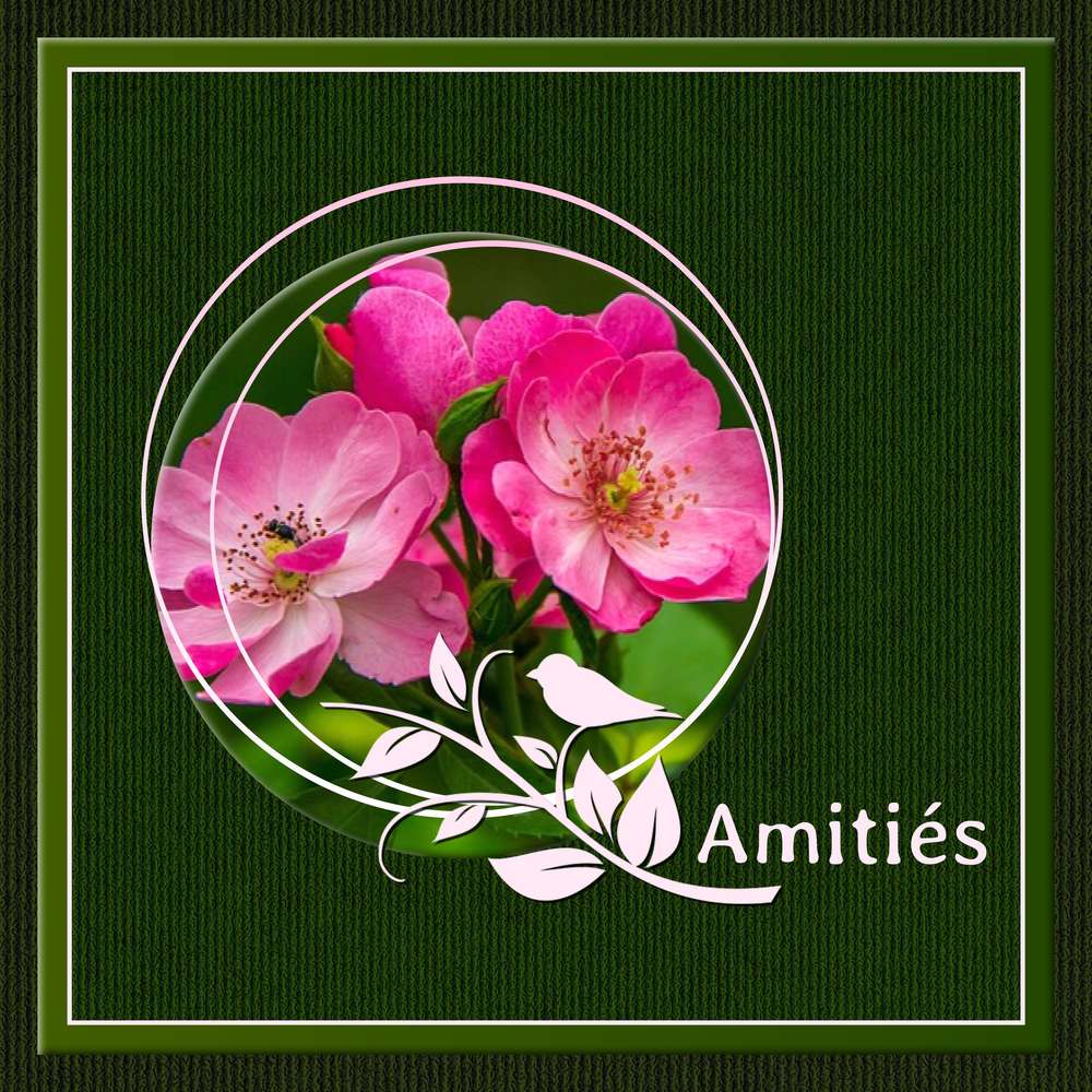 BONNE FETE A TOUS LES ANDRE ...