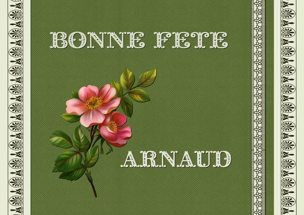 BONNE FETE A TOUS LES ARNAUD