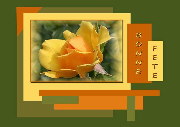 BONNE FETE A TOUS LES DIDIER