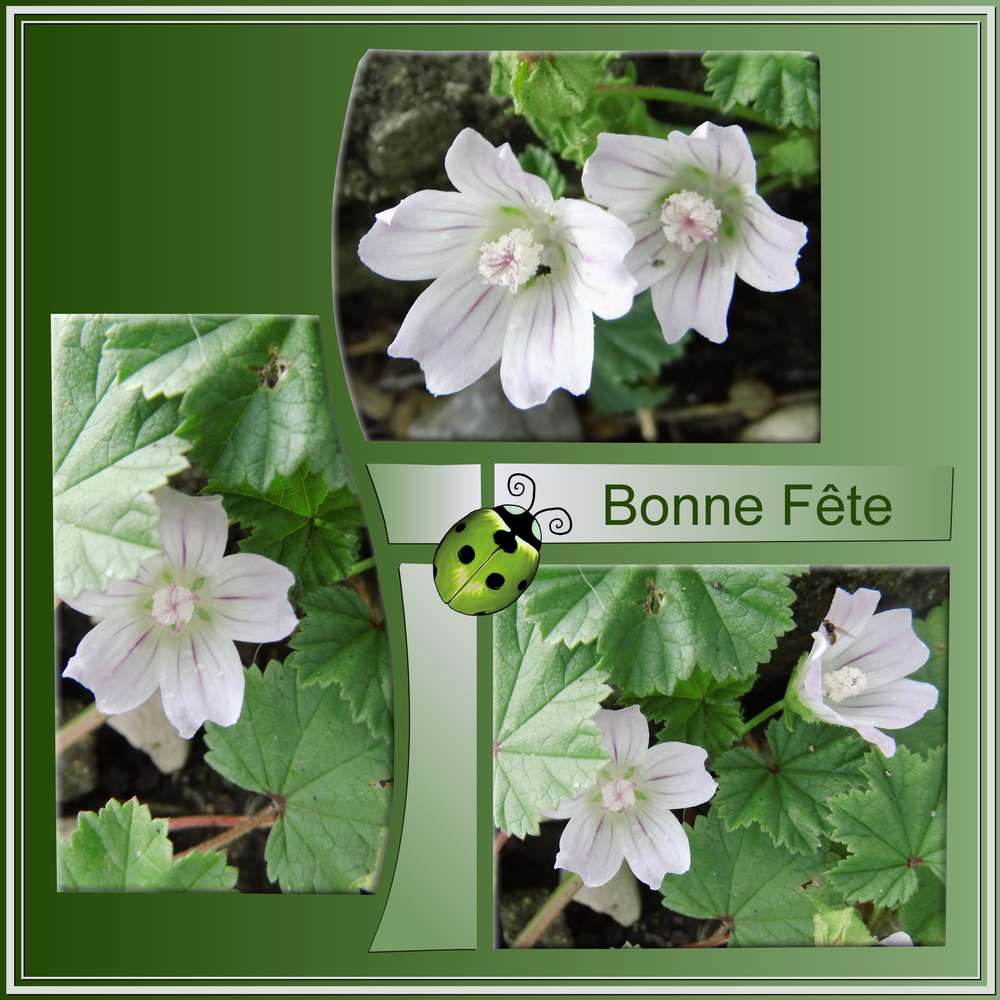 BONNE FETE A TOUS LES GRANDS-PERES