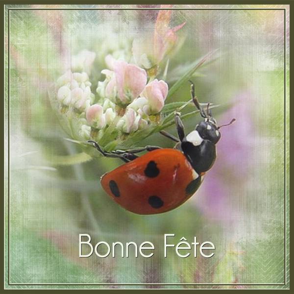 BONNE FETE A TOUS LES LEO