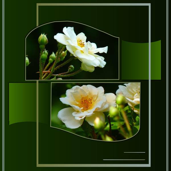 BONNE FETE à tous les PHILIPPE