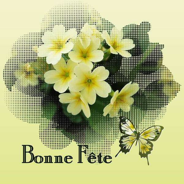 BONNE FETE à tous les ROBERT