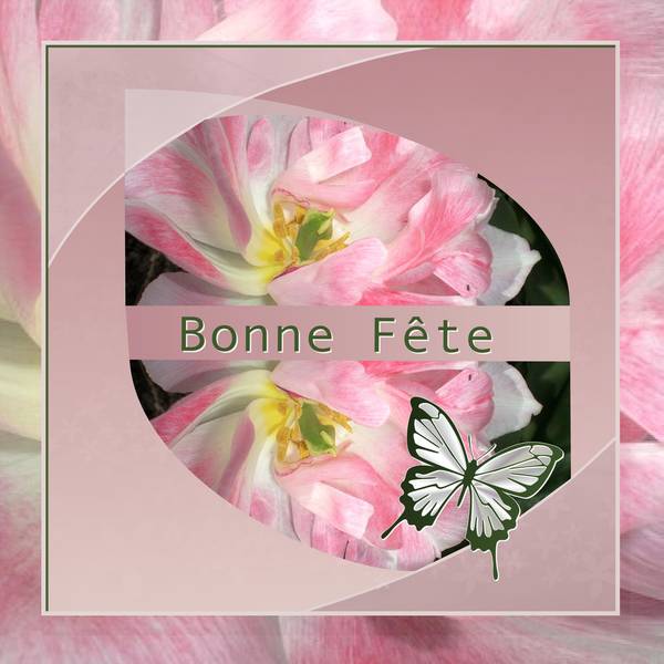 BONNE FETE A TOUTES LES DENISE --- A TOUS LES DENIS