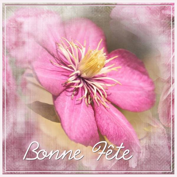 BONNE FETE A TOUTES LES EMELINE