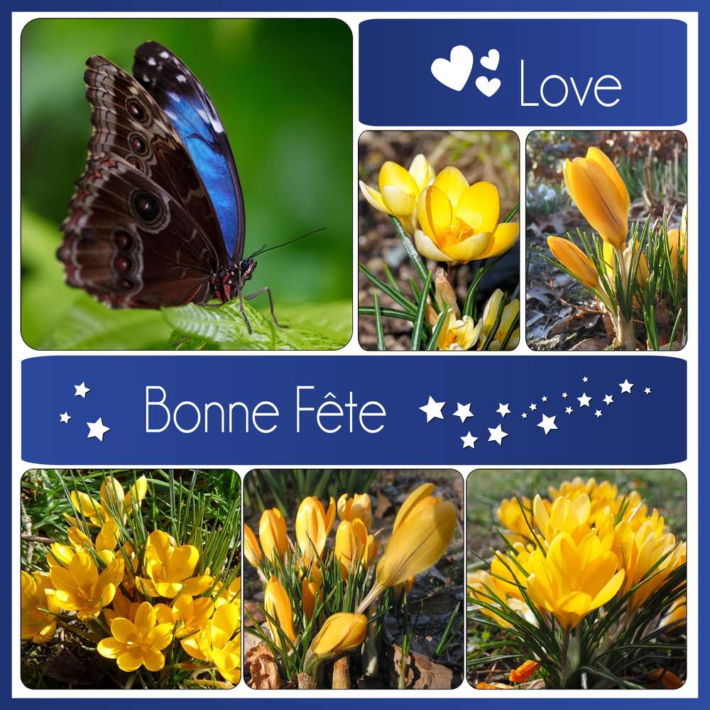 BONNE FETE A TOUTES LES GRAND-MERES