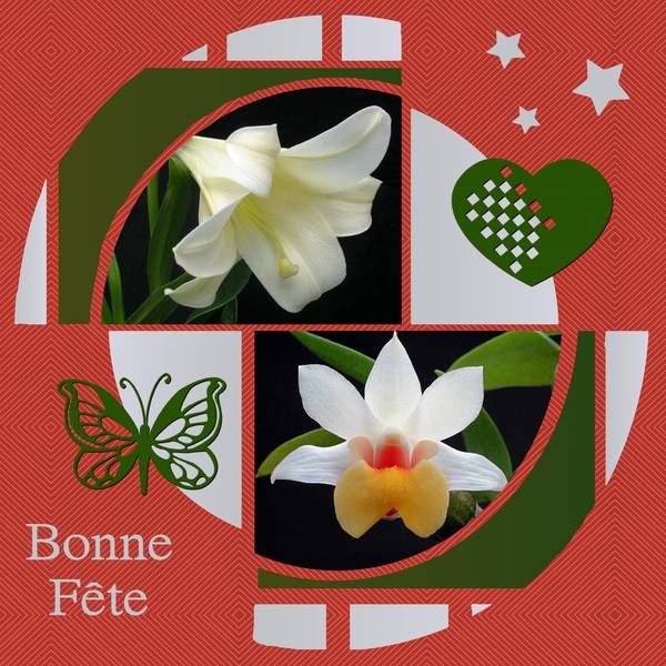BONNE FETE A TOUTES LES GRANDS-MERES