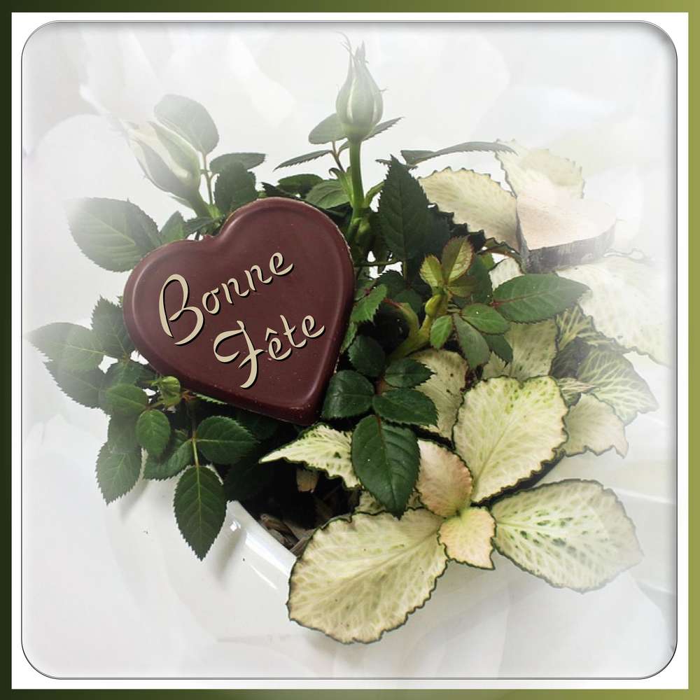 BONNE FETE A TOUTES LES GRANDS-MERES