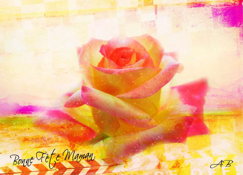 Bonne fête à toutes les Mamans !!!!