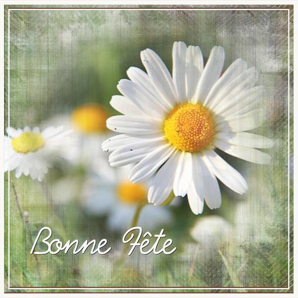 BONNE FETE A TOUTES LES MARGUERITE