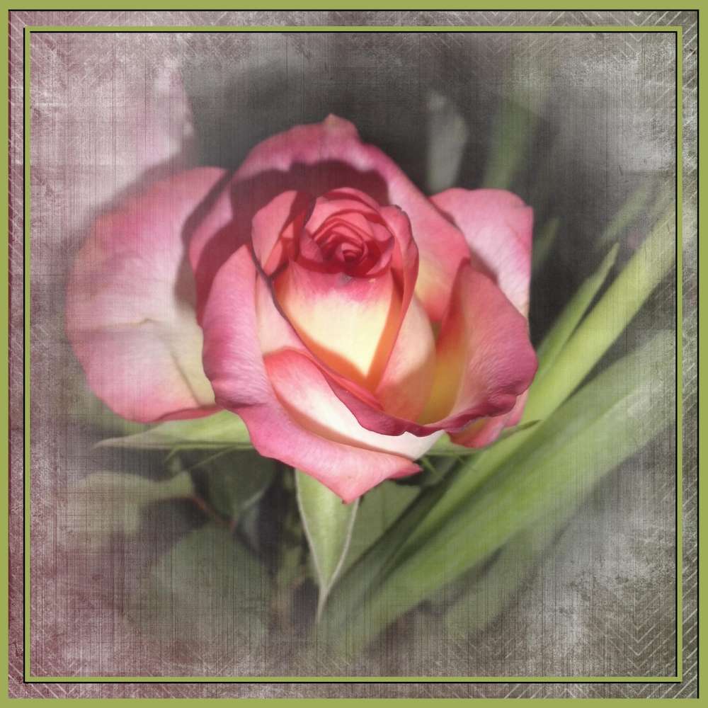 BONNE FETE A TOUTES LES MARTINE