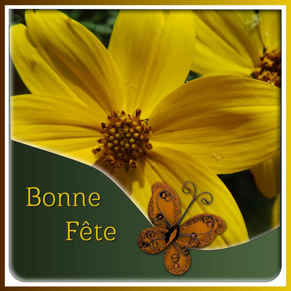 BONNE FETE A TOUTES LES MONIQUE
