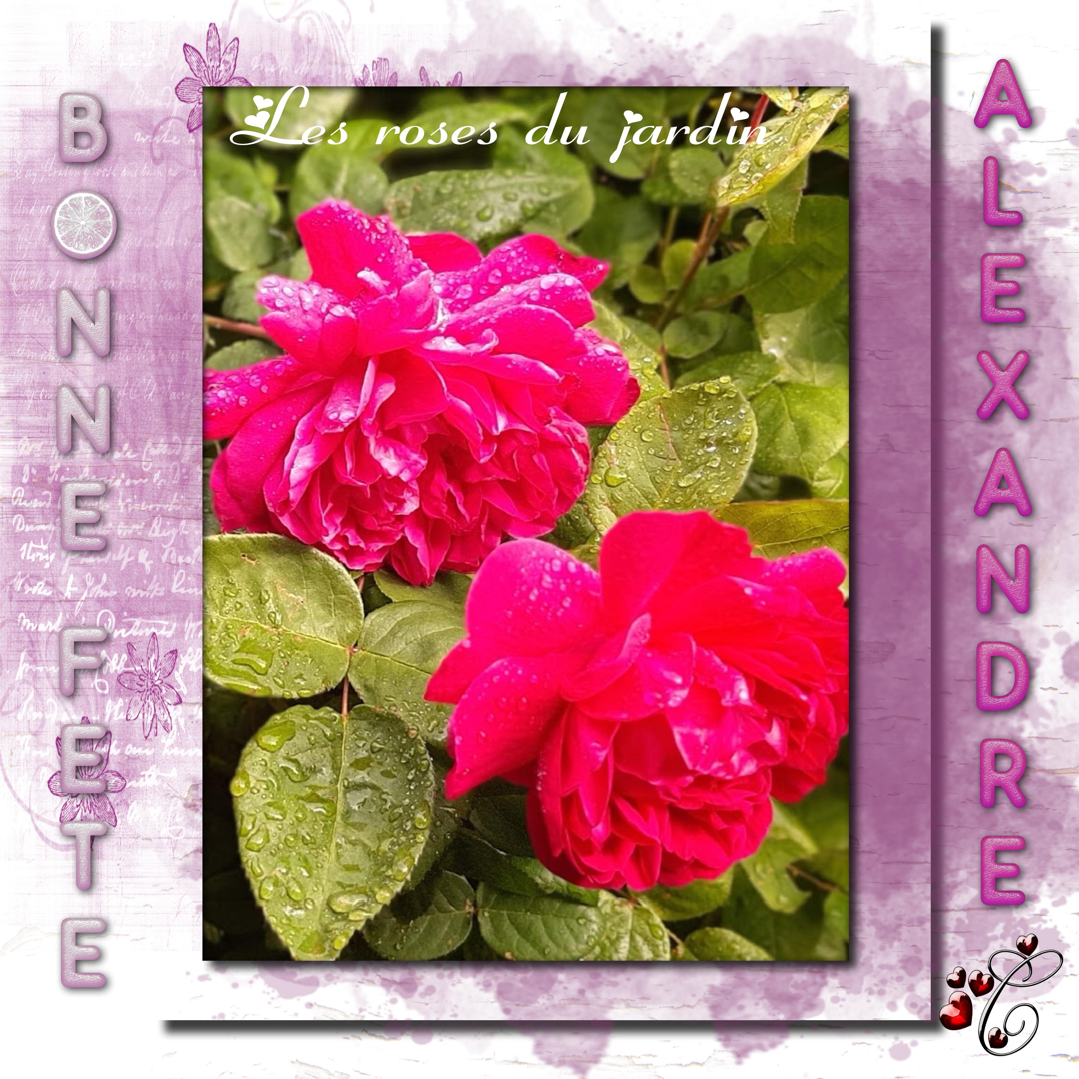 BONNE FÊTE ALEXANDRE .jpg