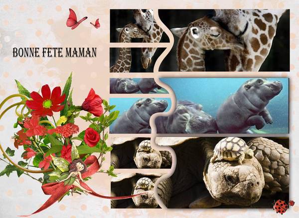 bonne fete aux mamans