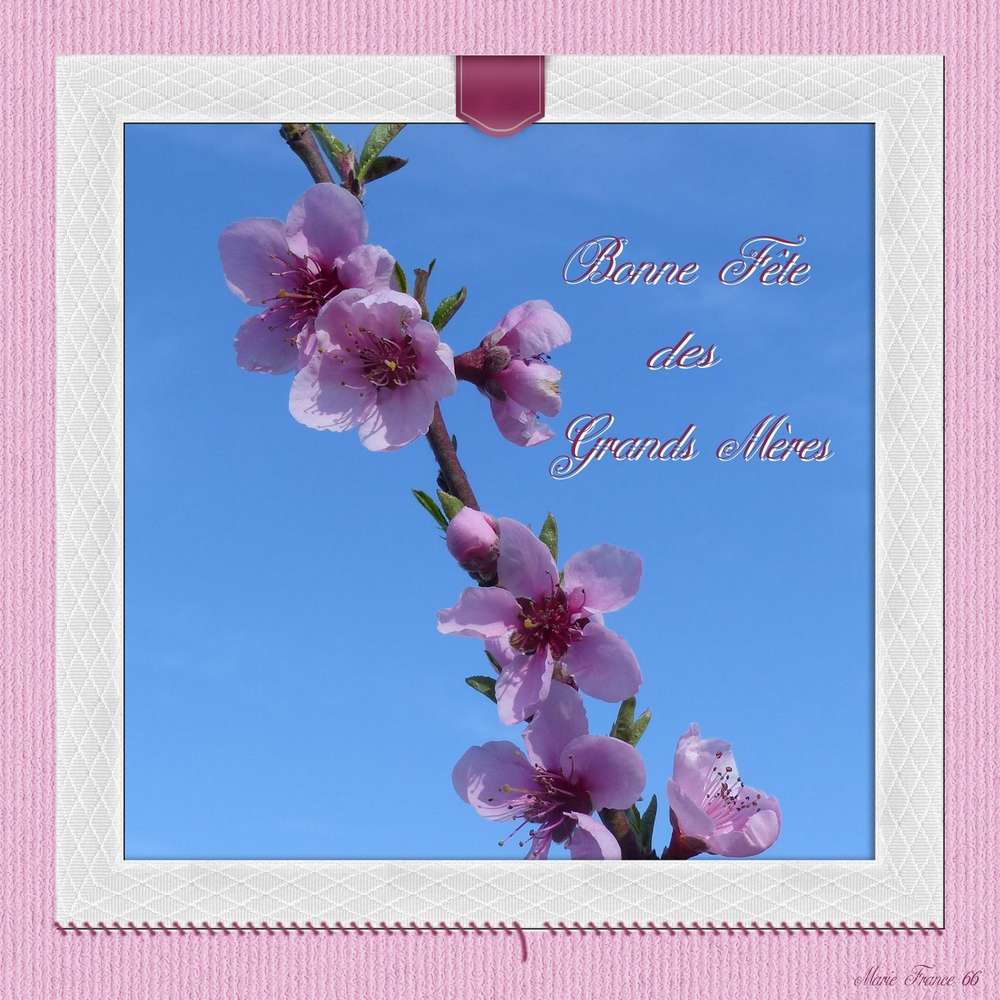 BONNE FETE DES GRANDS MERES