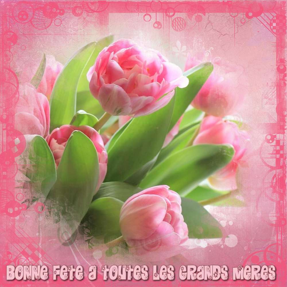 bonne fete des Grans Mères