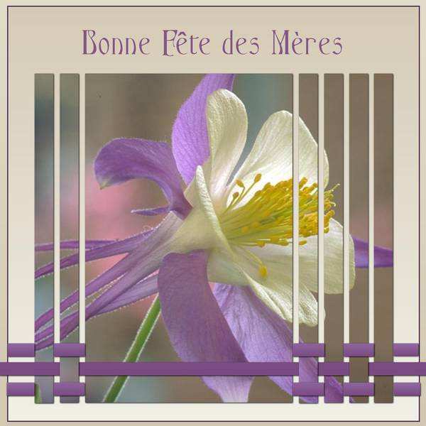 BONNE FETE DES MERES