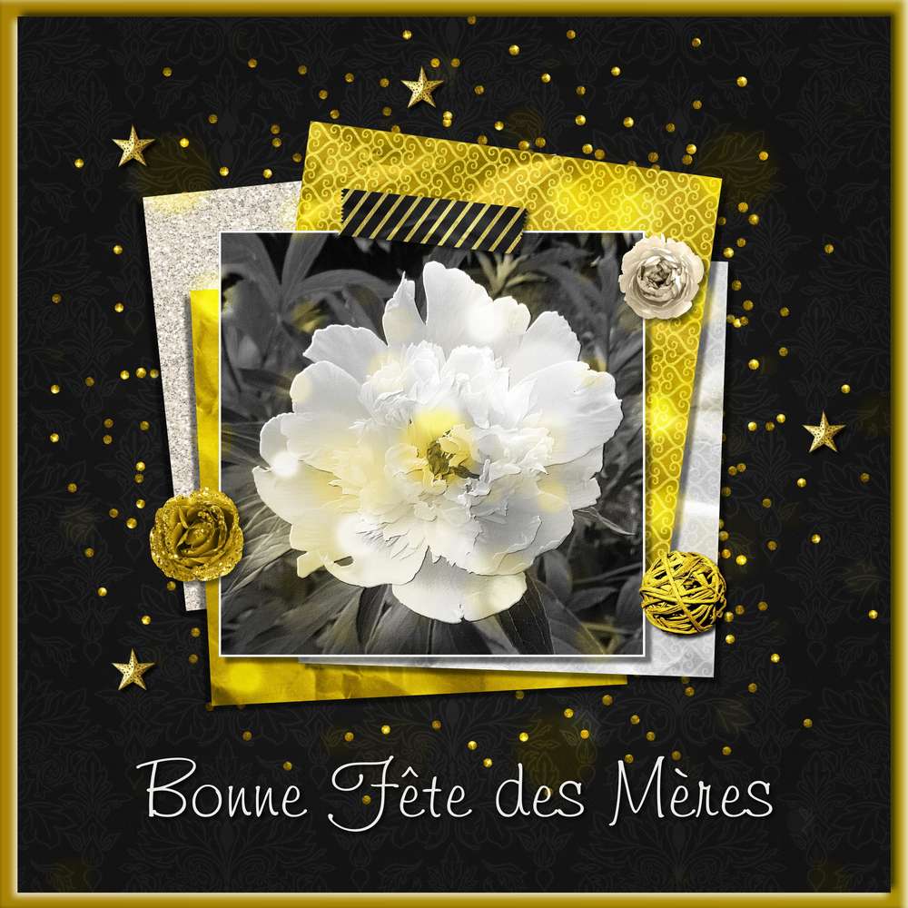 BONNE FETE DES MERES