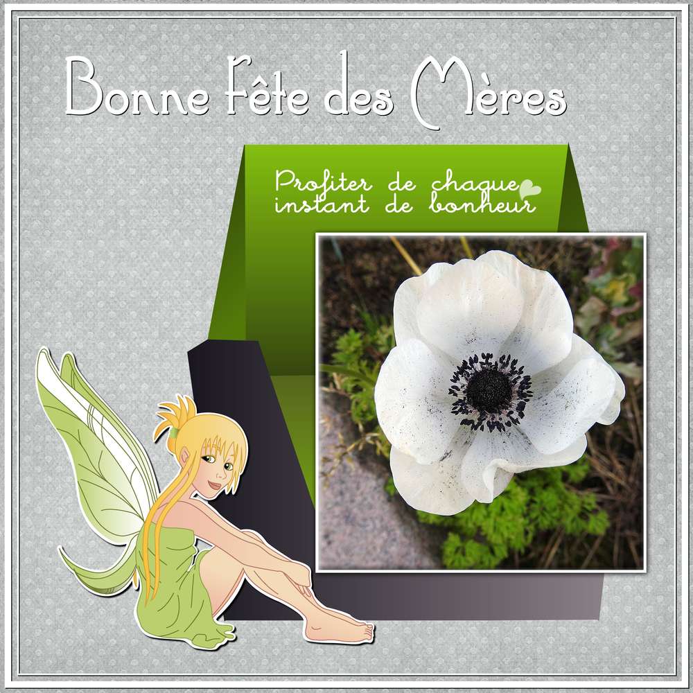 BONNE FETE DES MERES