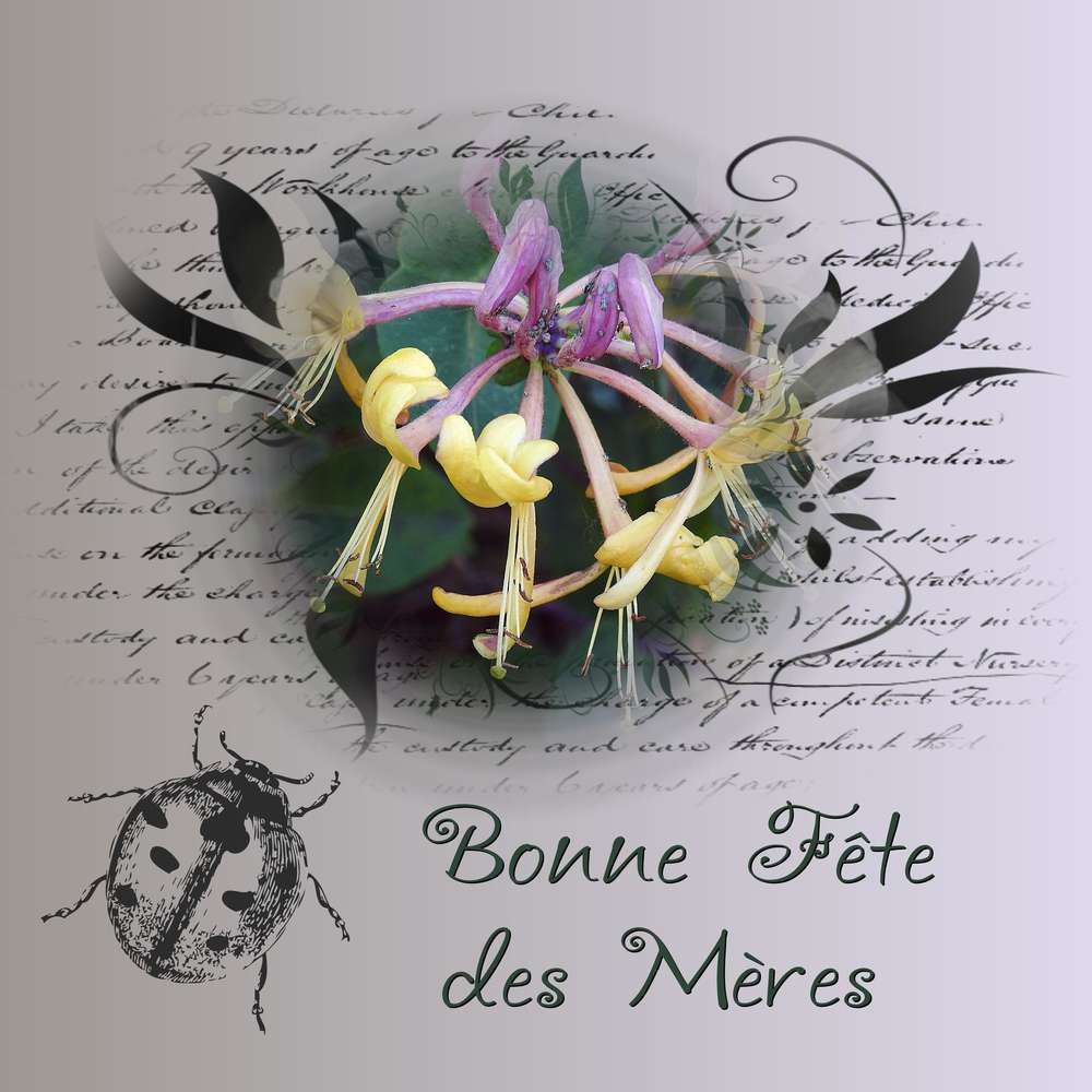 BONNE FETE DES MERES