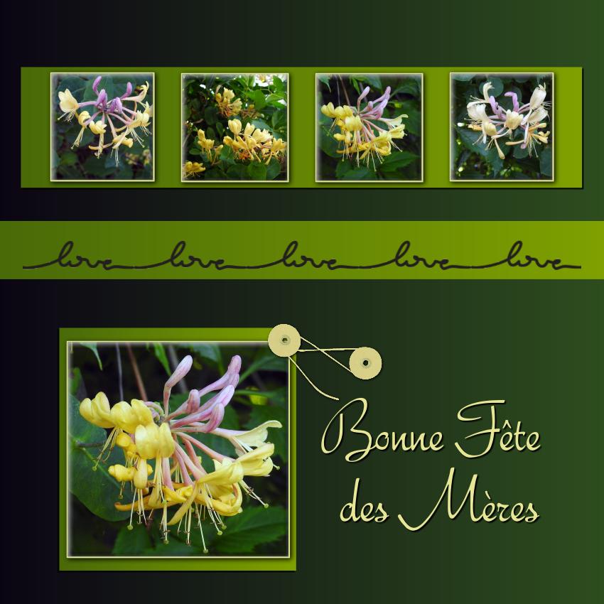 BONNE FETE DES MERES