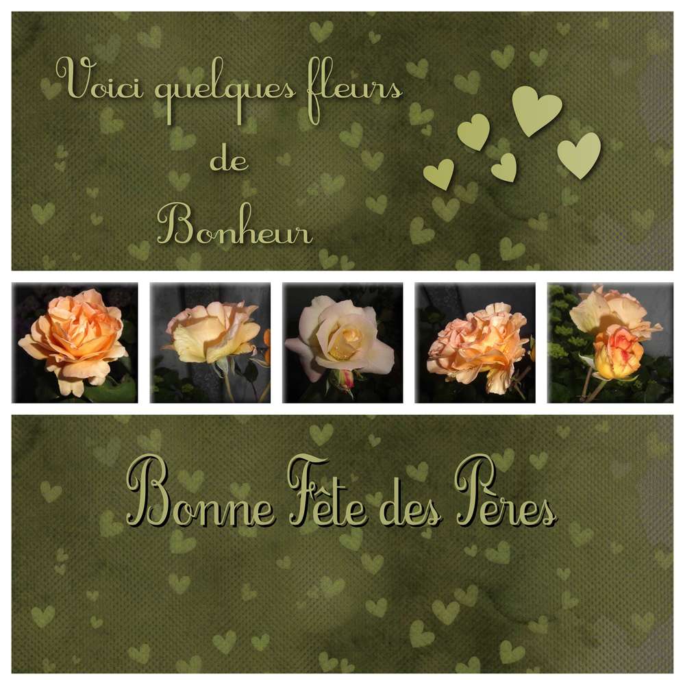 BONNE FETE DES PERES