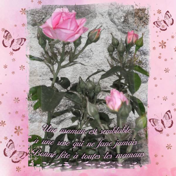 bonne fête maman