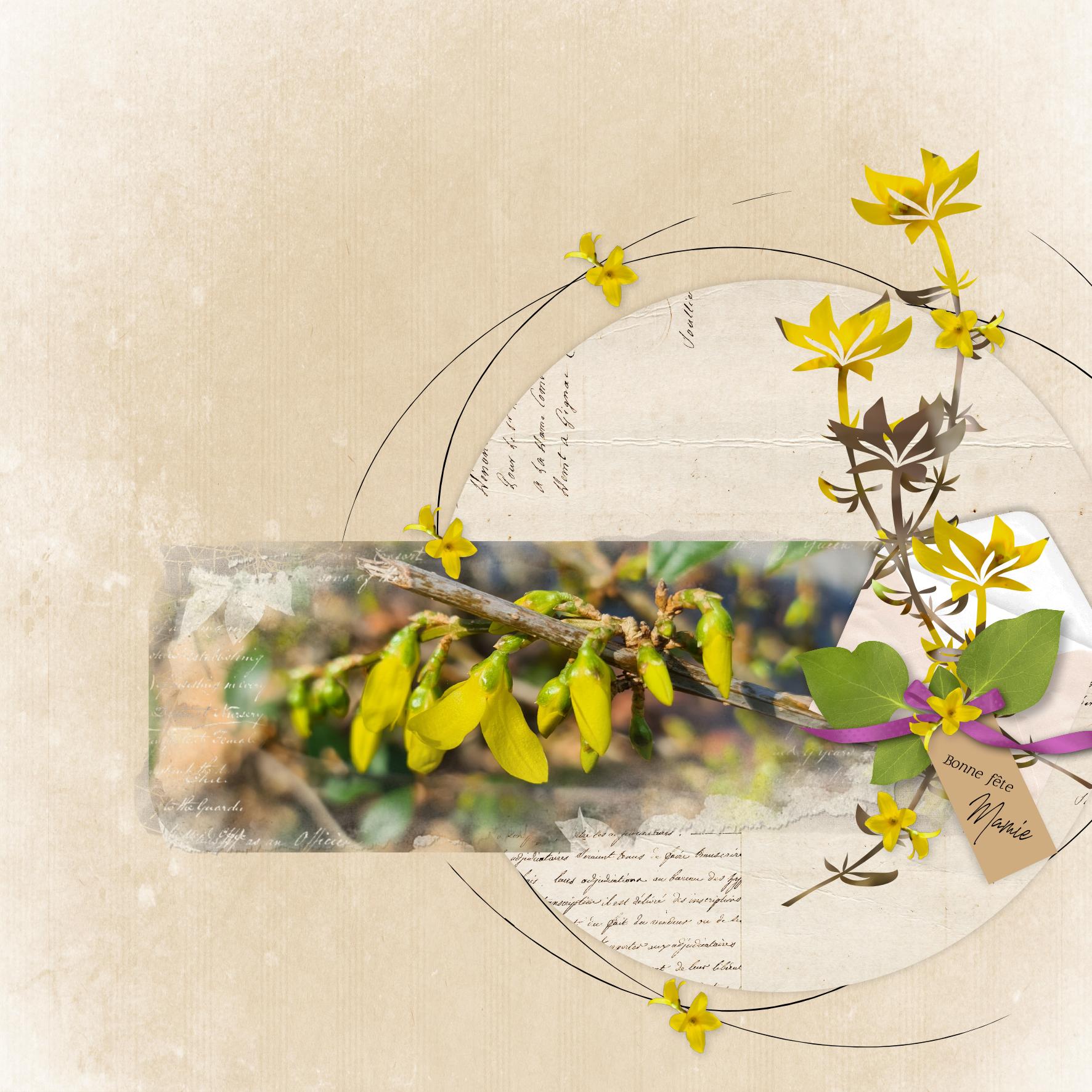 bonne fete mamie 2024.jpg