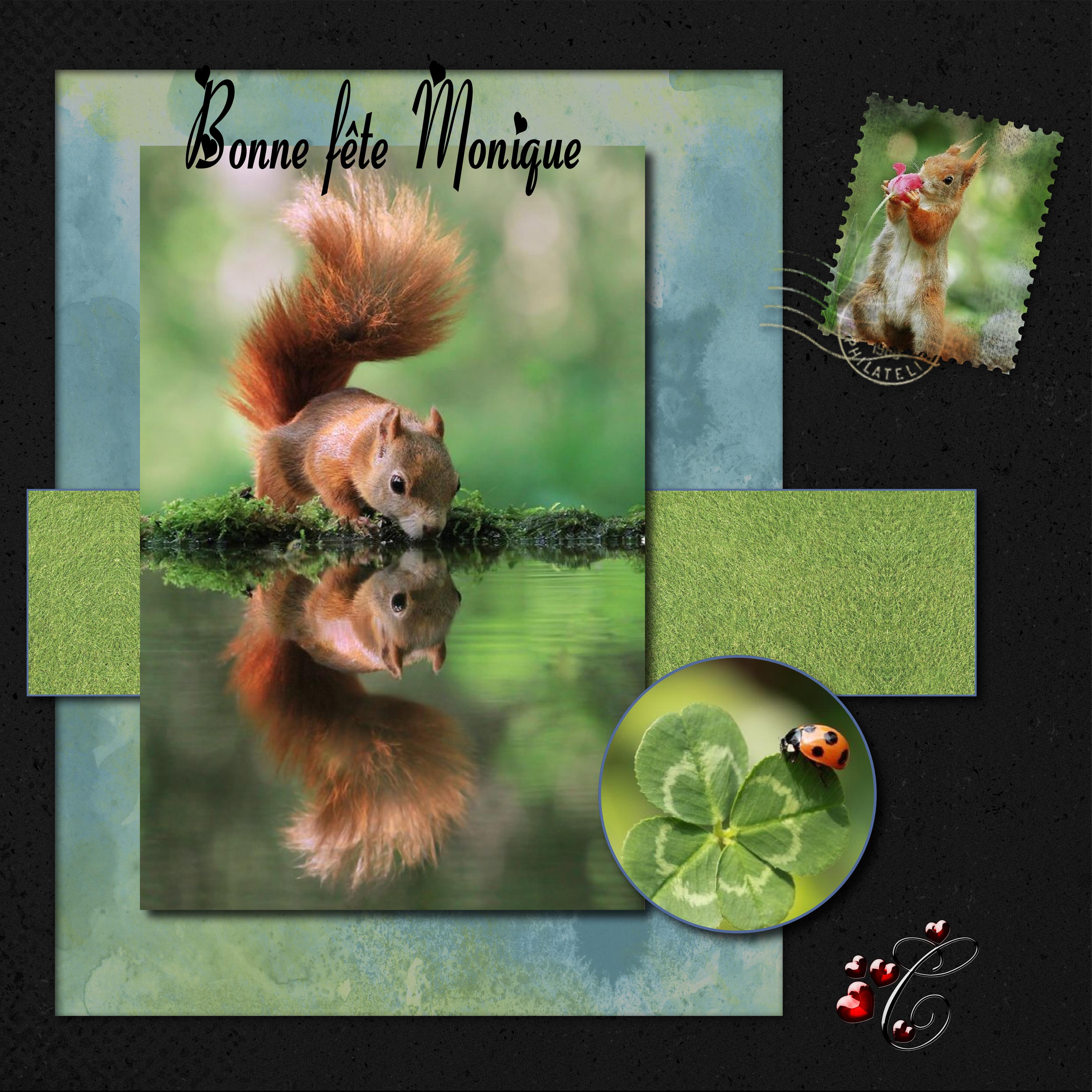 bonne fête Monique.jpg