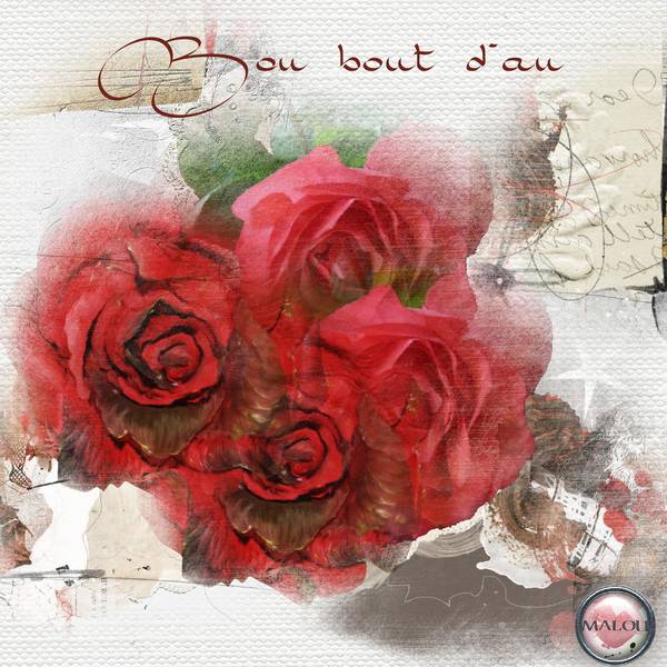 Bonne journée de St Sylvestre