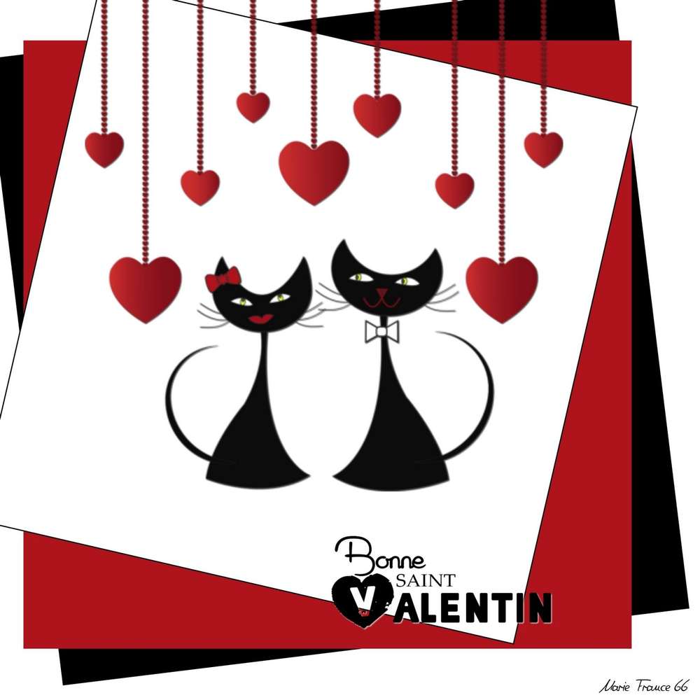 BONNE SAINT VALENTIN