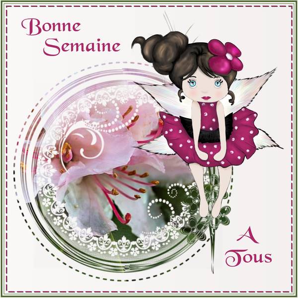 BONNE SEMAINE A TOUS