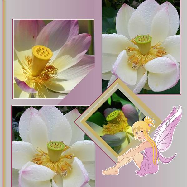 BONNE SEMAINE A TOUTES ET A TOUS