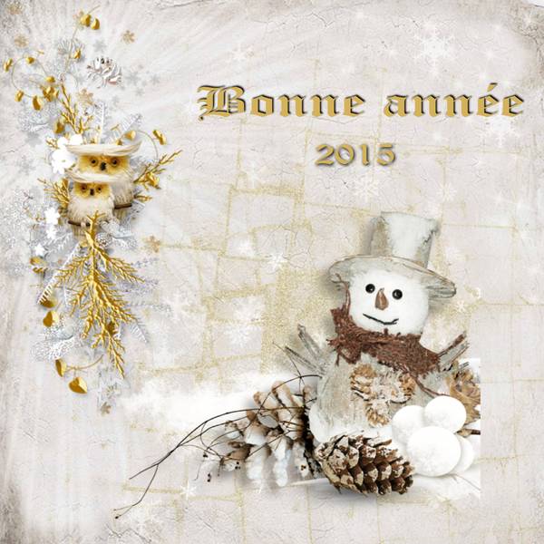 Bonne_ann__e_2015__page_1_